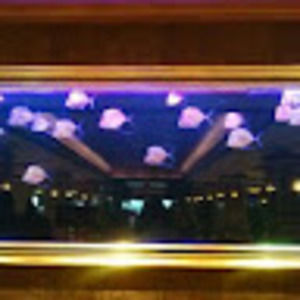 Meet your Posher, Viola